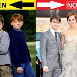 Harry Potter Cast Then And Now