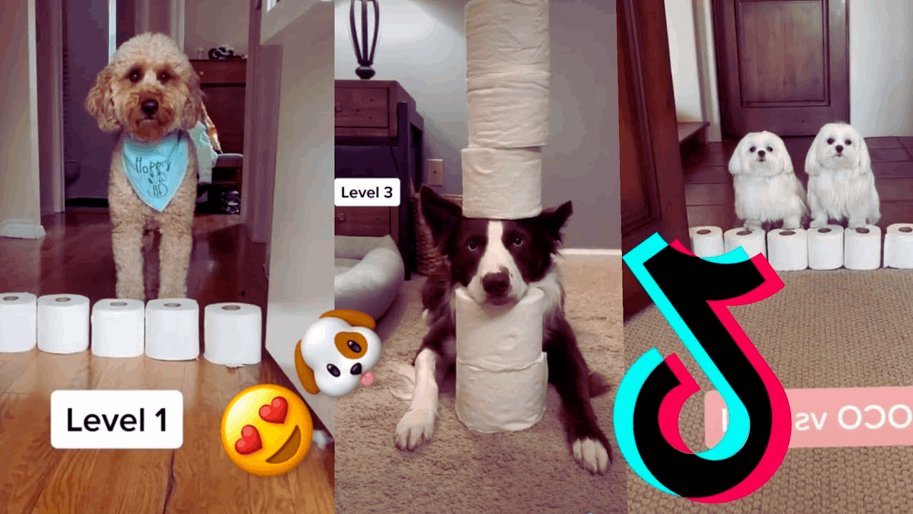 TikTok Challenges: The Top 5 That Broke the Internet in 2023