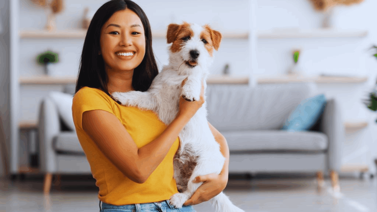 10 Apps That Every Pet Parent Should Have in Their Toolkit