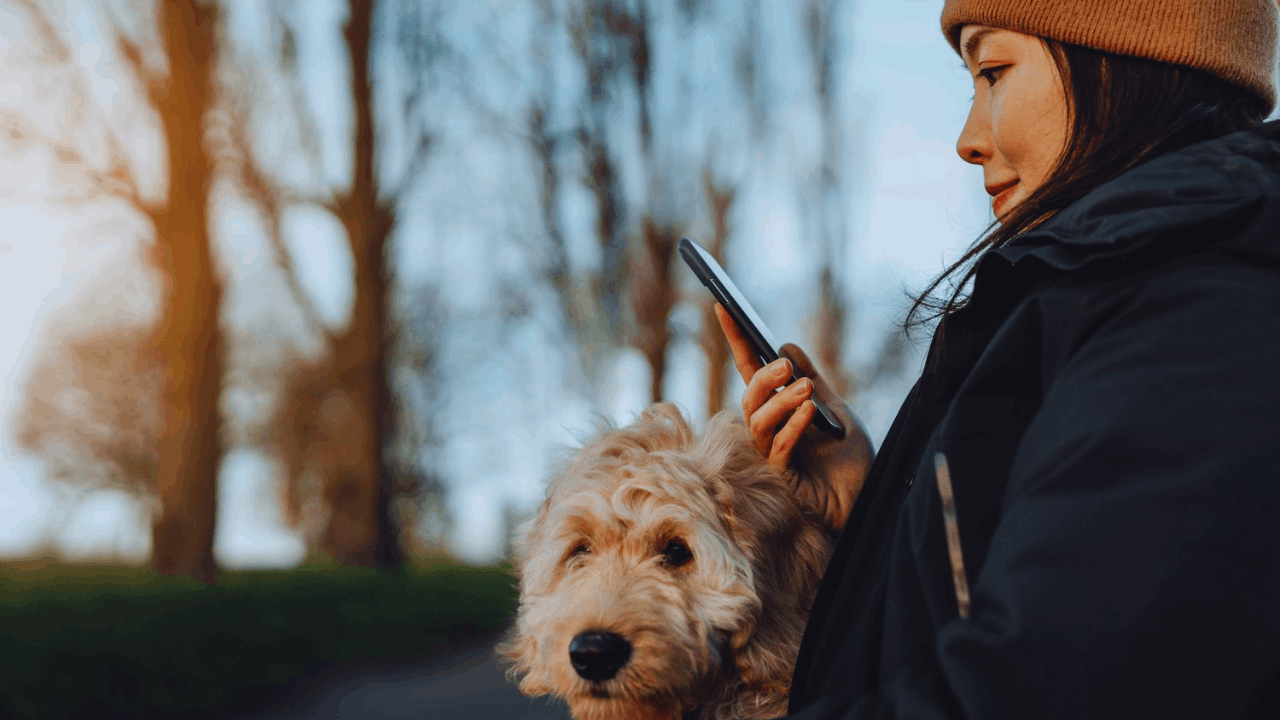 10 Apps That Every Pet Parent Should Have in Their Toolkit